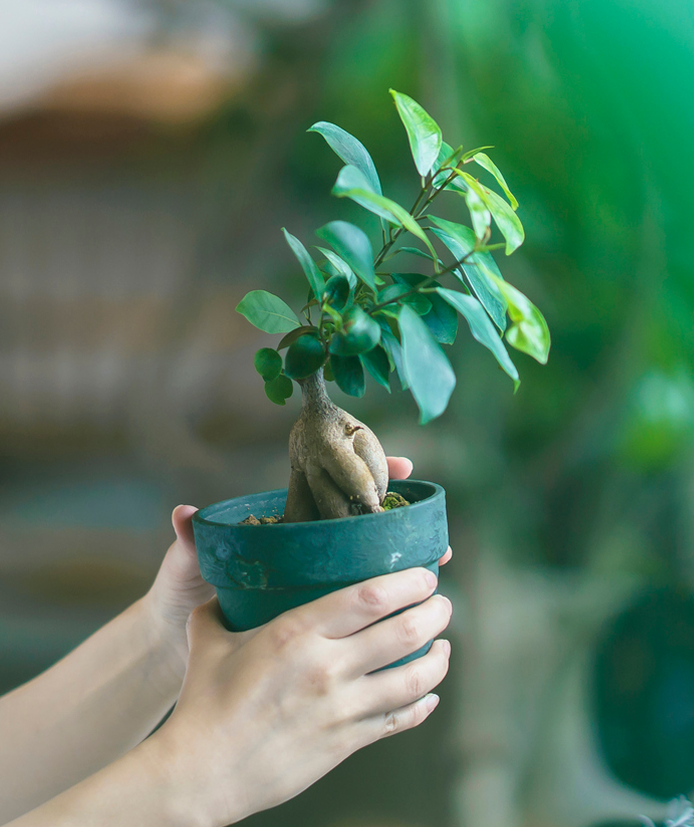 SUSTAINABLE LIVING